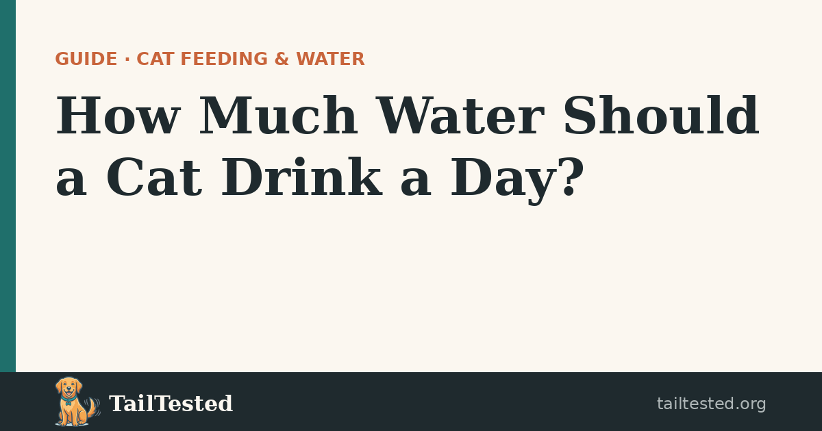 How Much Water Should a Cat Drink guide card