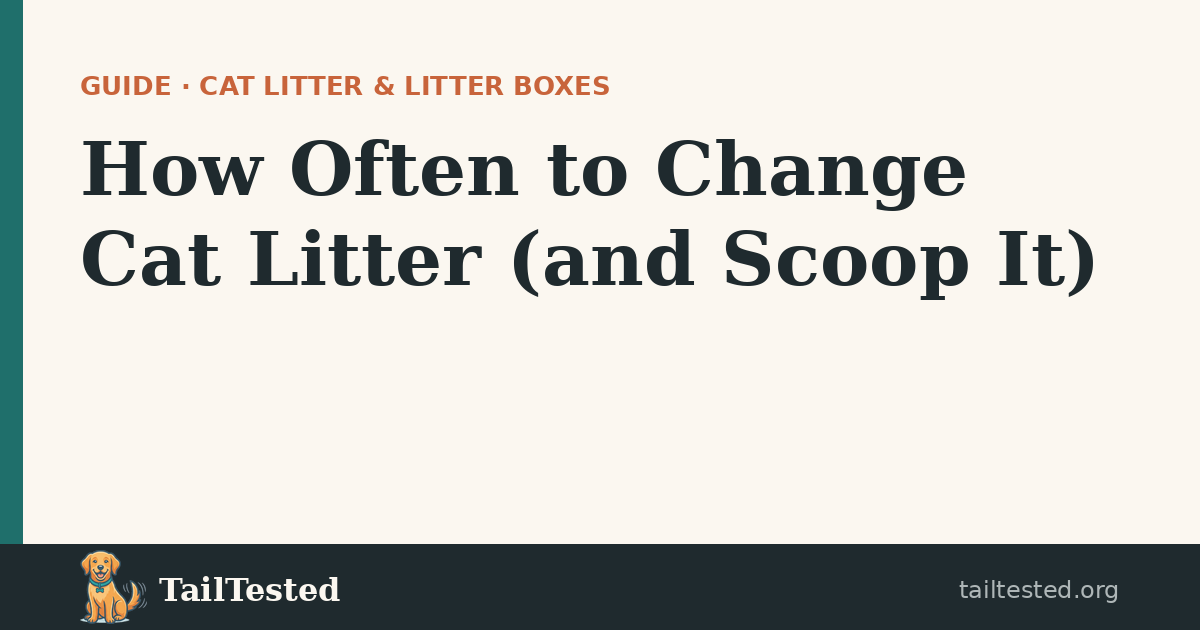 How Often to Change Cat Litter guide card