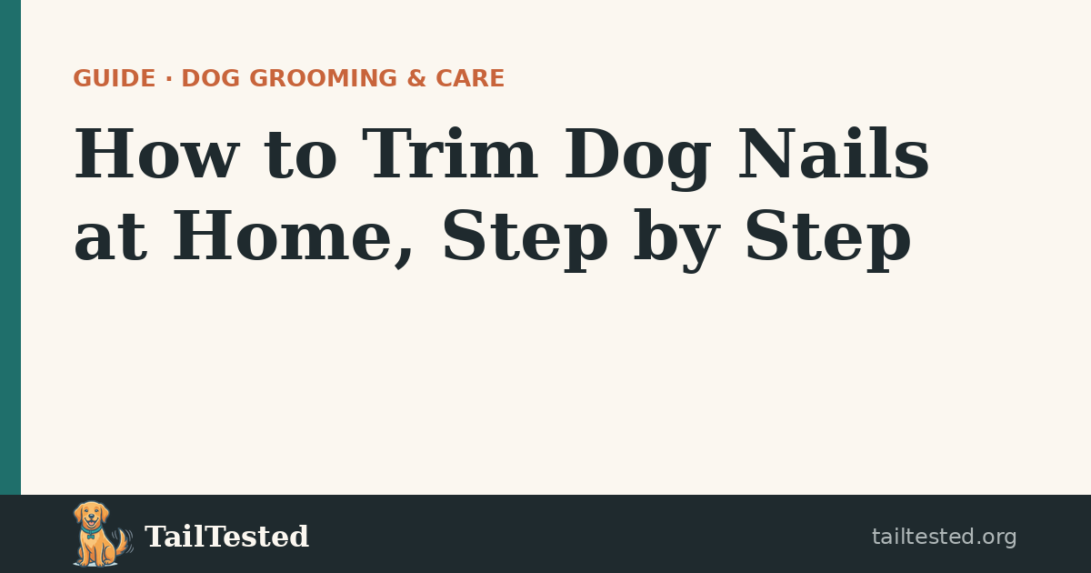 How to Trim Dog Nails at Home guide card